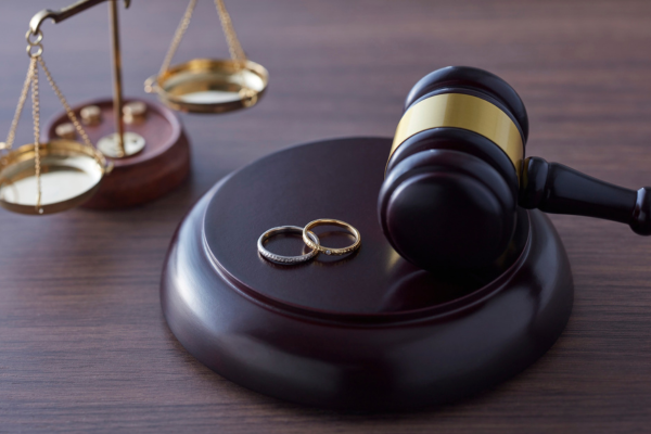 Common Grounds for Appealing a Family Law Judgment